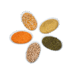 Dal Pulses