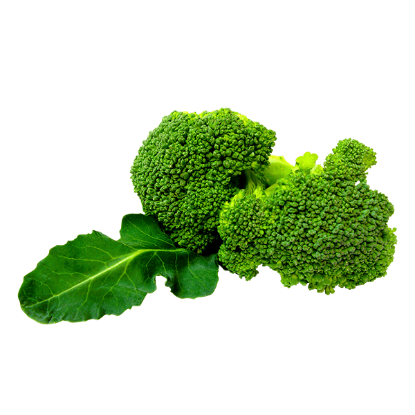 organicc-brocolli Organicc Brocolli