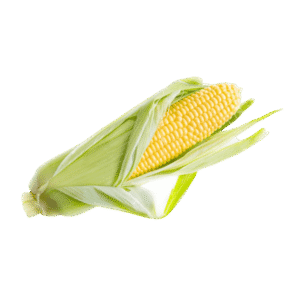 Organic Corn