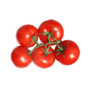 Organic Tomatoes