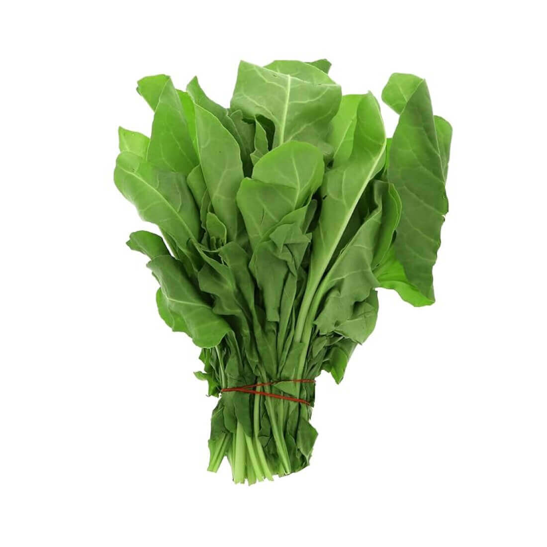 Home grocery-mega-market Raw Natural